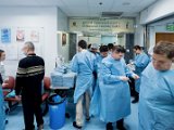 HK Wrist Course 2024 - Workshops  - 61 of 241.jpeg